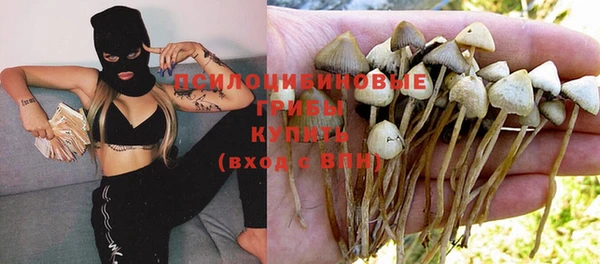 трава Алексин