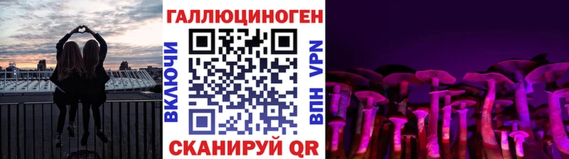 дарнет шоп Тайшет Псилоцибиновые грибы ЛСД